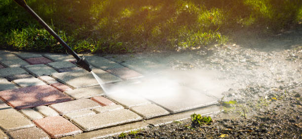 Professional Pressure Washing Services in Susitna North, AK